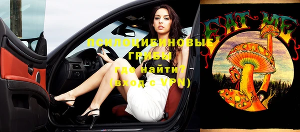 не бодяженный Алексин