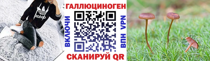 Купить закладки  Петровск  Галлюциногенные грибы мицелий 
